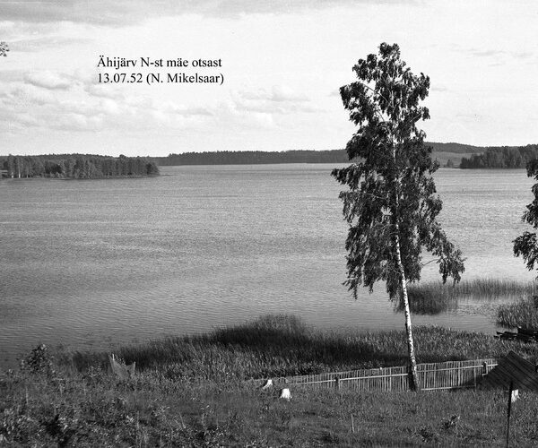 Maakond: Valgamaa Veekogu nimi: Ähijärv Pildistamise aeg: 13. juuli 1952 Pildistaja: N. Mikelsaar Pildistamise koht: N kaldalt m Asimuut: SE
