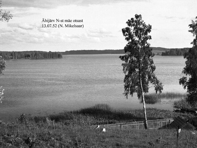 Maakond: Valgamaa Veekogu nimi: Ähijärv Pildistamise aeg: 13. juuli 1952 Pildistaja: N. Mikelsaar Pildistamise koht: N kaldalt m Asimuut: SE