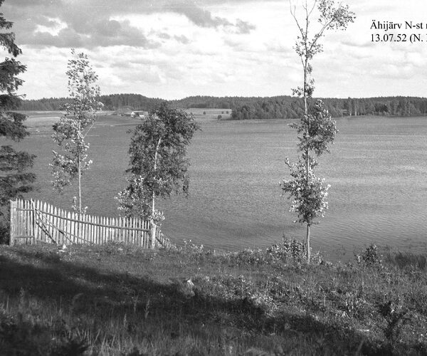 Maakond: Valgamaa Veekogu nimi: Ähijärv Pildistamise aeg: 13. juuli 1952 Pildistaja: N. Mikelsaar Pildistamise koht: N kaldalt m Asimuut: ENE