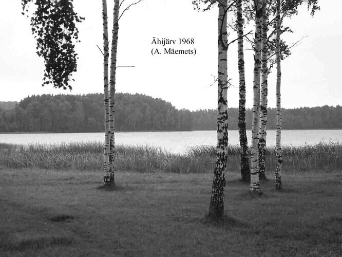 Maakond: Valgamaa Veekogu nimi: Ähijärv Pildistamise aeg: 1968 Pildistaja: A. Mäemets Pildistamise koht: NE poolsaarelt Asimuut: SSW