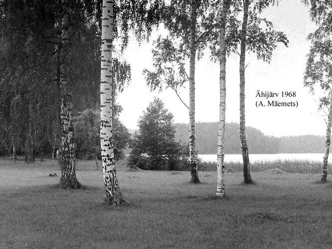 Maakond: Valgamaa Veekogu nimi: Ähijärv Pildistamise aeg: 1968 Pildistaja: A. Mäemets Pildistamise koht: NE poolsaarelt Asimuut: SW