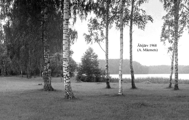 Maakond: Valgamaa Veekogu nimi: Ähijärv Pildistamise aeg: 1968 Pildistaja: A. Mäemets Pildistamise koht: NE poolsaarelt Asimuut: SW