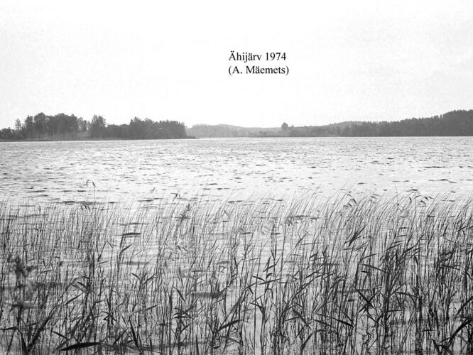 Maakond: Valgamaa Veekogu nimi: Ähijärv Pildistamise aeg: 1974 Pildistaja: A. Mäemets Pildistamise koht: teadmata Asimuut: