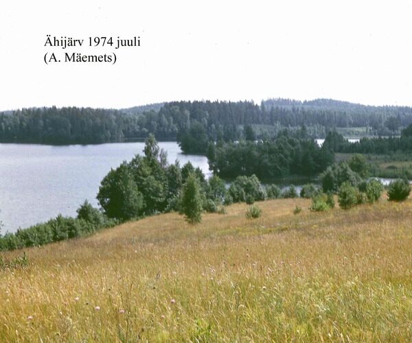 Maakond: Valgamaa Veekogu nimi: Ähijärv Pildistamise aeg: juuli 1974 Pildistaja: A. Mäemets Pildistamise koht: teadmata Asimuut: