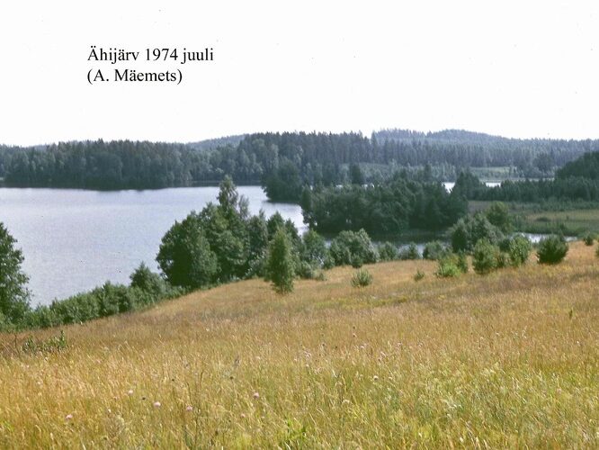 Maakond: Valgamaa Veekogu nimi: Ähijärv Pildistamise aeg: juuli 1974 Pildistaja: A. Mäemets Pildistamise koht: teadmata Asimuut: