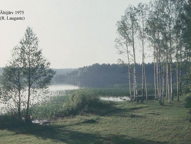 Maakond: Valgamaa Veekogu nimi: Ähijärv Pildistamise aeg: 1975 Pildistaja: R. Laugaste Pildistamise koht: NE poolsaarelt Asimuut: