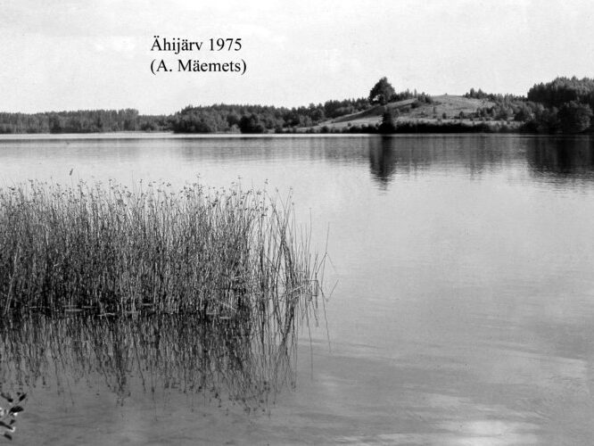 Maakond: Valgamaa Veekogu nimi: Ähijärv Pildistamise aeg: 1975 Pildistaja: A. Mäemets Pildistamise koht: NE poolsaarelt Asimuut: SSW