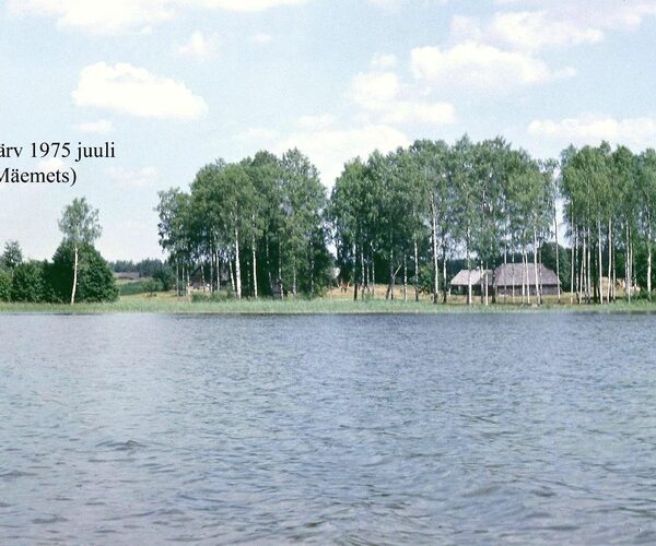 Maakond: Valgamaa Veekogu nimi: Ähijärv Pildistamise aeg: juuli 1975 Pildistaja: A. Mäemets Pildistamise koht: NE poolsaar j Asimuut: ENE