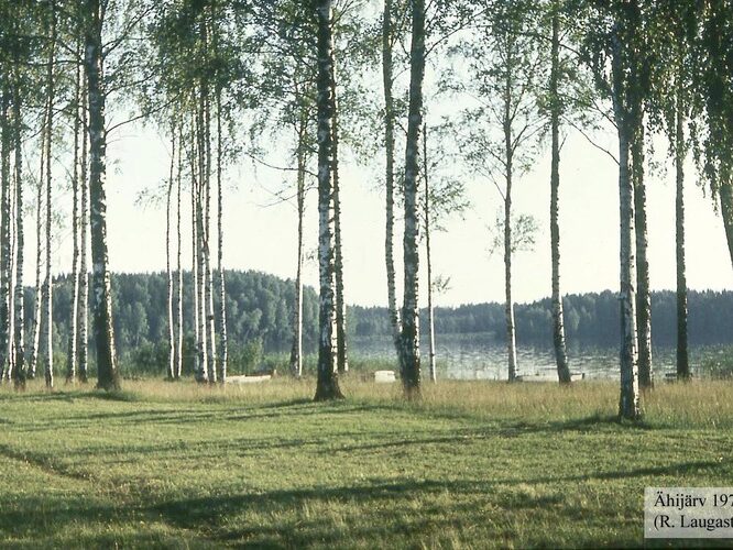 Maakond: Valgamaa Veekogu nimi: Ähijärv Pildistamise aeg: 1975 Pildistaja: R. Laugaste Pildistamise koht: NE poolsaarelt Asimuut: