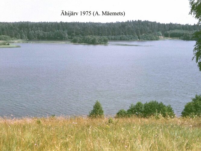 Maakond: Valgamaa Veekogu nimi: Ähijärv Pildistamise aeg: 1975 Pildistaja: A. Mäemets Pildistamise koht: teadmata Asimuut: