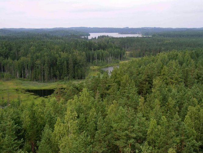 Maakond: Võrumaa Veekogu nimi: Ähijärv Pildistamise aeg: 22. august 2004 Pildistaja: H. Timm Pildistamise koht: teadmata Asimuut: