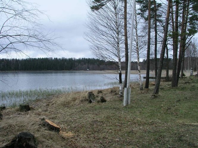 Maakond: Võrumaa Veekogu nimi: Ähijärv Pildistamise aeg: 4. mai 2005 Pildistaja: H. Timm Pildistamise koht: teadmata Asimuut: