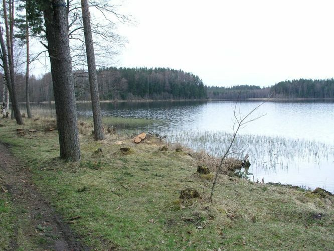 Maakond: Võrumaa Veekogu nimi: Ähijärv Pildistamise aeg: 4. mai 2005 Pildistaja: H. Timm Pildistamise koht: teadmata Asimuut: