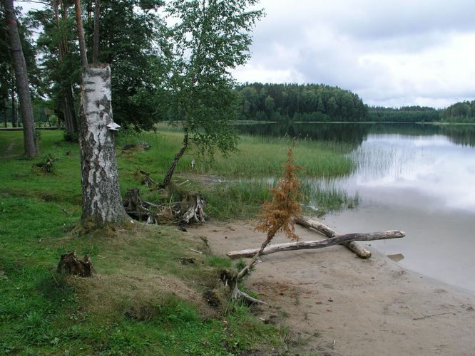 Maakond: Võrumaa Veekogu nimi: Ähijärv Pildistamise aeg: 4. august 2006 Pildistaja: H. Timm Pildistamise koht: teadmata Asimuut: