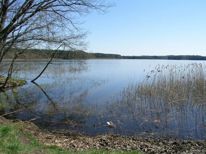 Maakond: Võrumaa Veekogu nimi: Ähijärv Pildistamise aeg: 2. mai 2009 Pildistaja: H. Timm Pildistamise koht: rahvuspargi keskusest S Asimuut: