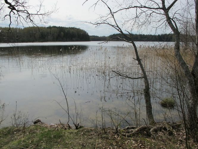 Maakond: Valgamaa Veekogu nimi: Ähijärv Pildistamise aeg: 29. aprill 2012 Pildistaja: H. Timm Pildistamise koht: teadmata Asimuut: