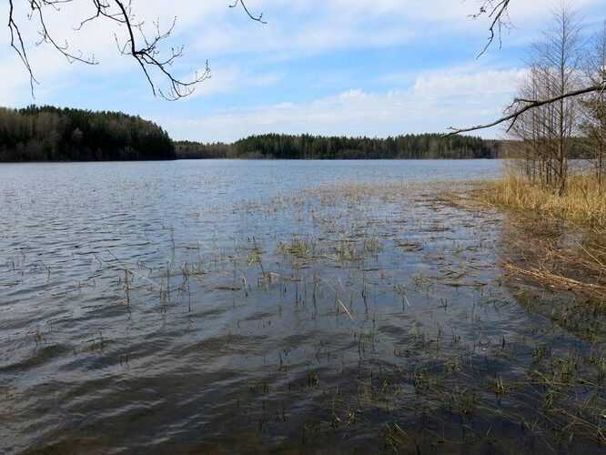 Maakond: Valgamaa Veekogu nimi: Ähijärv Pildistamise aeg: 7. mai 2013 Pildistaja: H. Timm Pildistamise koht: teadmata Asimuut: