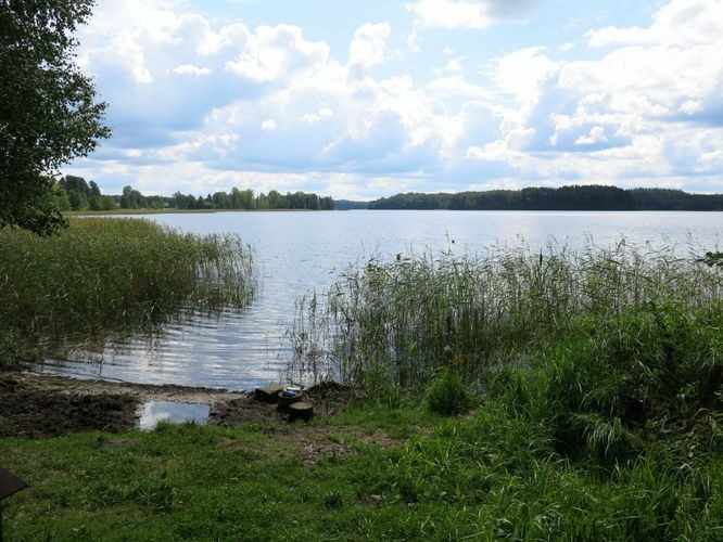 Maakond: Võrumaa Veekogu nimi: Ähijärv Pildistamise aeg: 15. august 2014 Pildistaja: H. Timm Pildistamise koht: teadmata Asimuut: