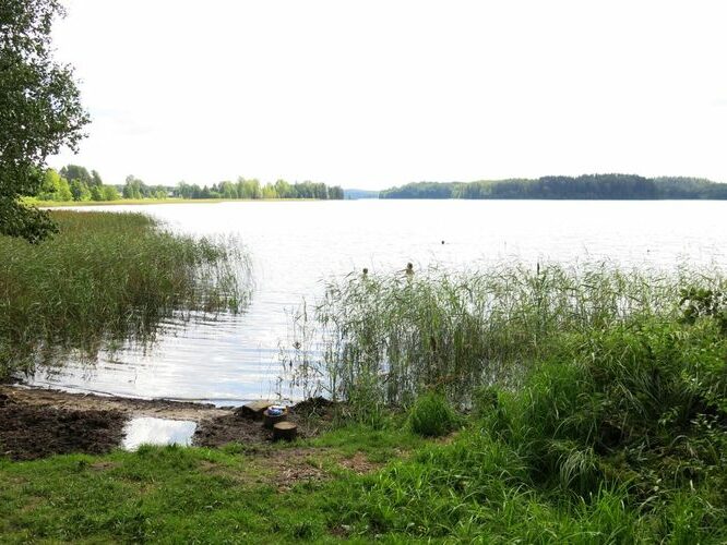 Maakond: Võrumaa Veekogu nimi: Ähijärv Pildistamise aeg: 15. august 2014 Pildistaja: H. Timm Pildistamise koht: teadmata Asimuut: