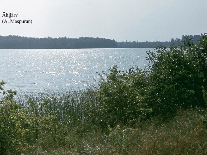 Maakond: Valgamaa Veekogu nimi: Ähijärv Pildistamise aeg: teadmata Pildistaja: A. Maspuran Pildistamise koht: teadmata Asimuut: