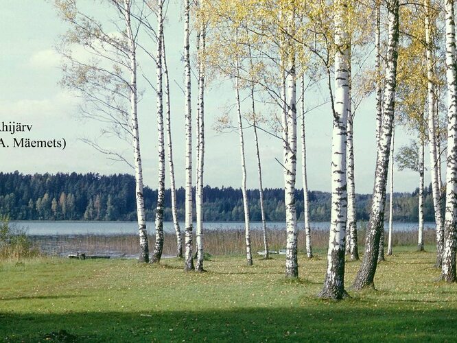 Maakond: Valgamaa Veekogu nimi: Ähijärv Pildistamise aeg: teadmata Pildistaja: A. Mäemets Pildistamise koht: NE poolsaarelt Asimuut: