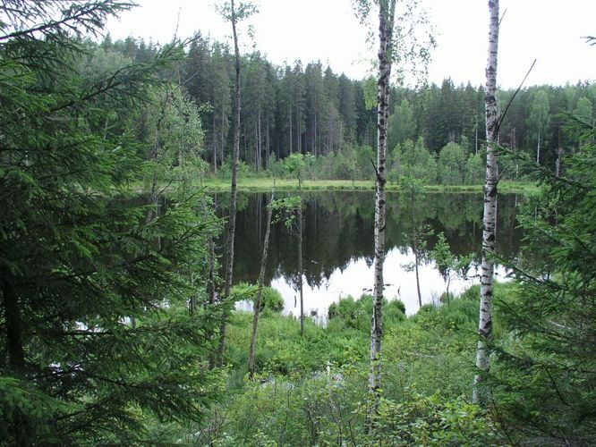 Maakond: Võrumaa Veekogu nimi: Ähijärve Perajärv Pildistamise aeg: 4. august 2006 Pildistaja: H. Timm Pildistamise koht: teadmata Asimuut: