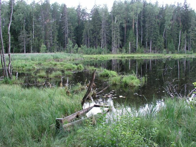 Maakond: Võrumaa Veekogu nimi: Ähijärve Perajärv Pildistamise aeg: 4. august 2006 Pildistaja: H. Timm Pildistamise koht: teadmata Asimuut: