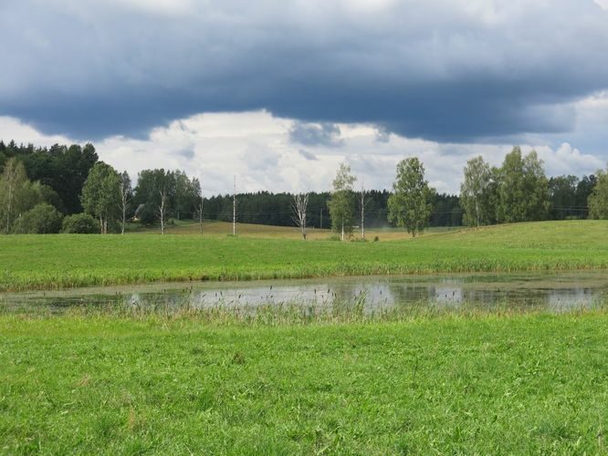 Maakond: Võrumaa Veekogu nimi: Ähijärve tee suur tiik Pildistamise aeg: 15. august 2014 Pildistaja: H. Timm Pildistamise koht: teadmata Asimuut: