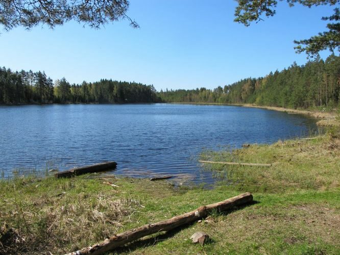 Maakond: Võrumaa Veekogu nimi: Ahitse järv Pildistamise aeg: 3. mai 2012 Pildistaja: H. Timm Pildistamise koht: teadmata Asimuut: