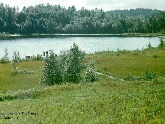 Maakond: Valgamaa Veekogu nimi: Äidu Kaanjärv Pildistamise aeg: august 1981 Pildistaja: A. Mäemets Pildistamise koht: teadmata Asimuut: