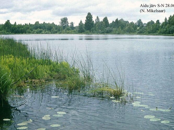 Maakond: Viljandimaa Veekogu nimi: Aidu järv Pildistamise aeg: 28. juuni 1977 Pildistaja: N. Mikelsaar Pildistamise koht: S kaldalt Asimuut: N