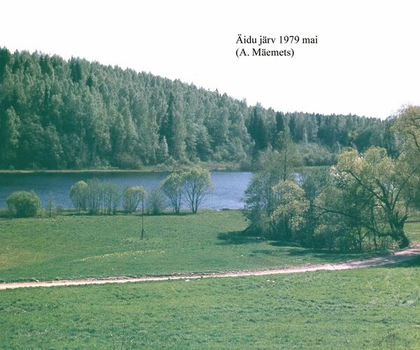 Maakond: Valgamaa Veekogu nimi: Äidu järv Pildistamise aeg: mai 1979 Pildistaja: A. Mäemets Pildistamise koht: teadmata Asimuut:
