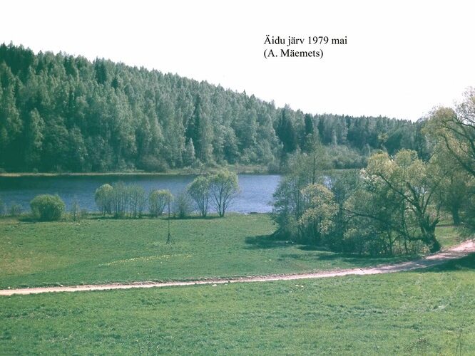 Maakond: Valgamaa Veekogu nimi: Äidu järv Pildistamise aeg: mai 1979 Pildistaja: A. Mäemets Pildistamise koht: teadmata Asimuut: