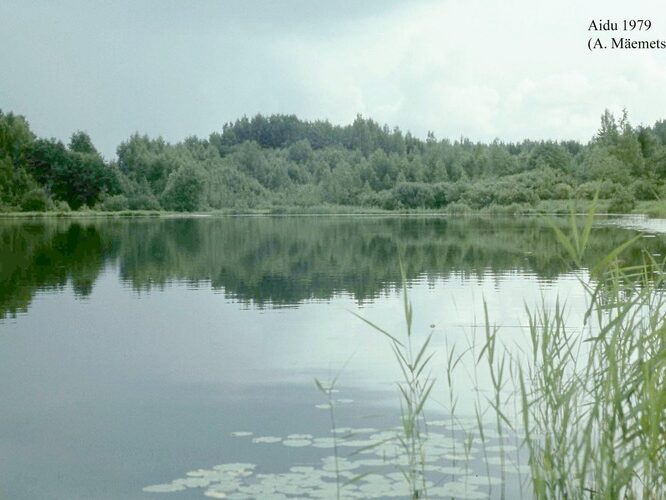 Maakond: Viljandimaa Veekogu nimi: Aidu järv Pildistamise aeg: 1979 Pildistaja: A. Mäemets Pildistamise koht: teadmata Asimuut: