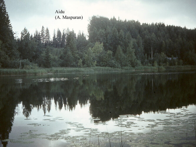 Maakond: Viljandimaa Veekogu nimi: Aidu järv Pildistamise aeg: teadmata Pildistaja: A. Maspuran Pildistamise koht: teadmata Asimuut: