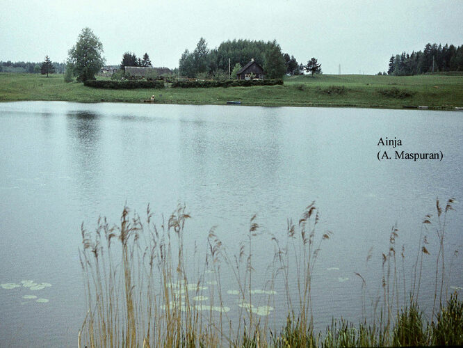 Maakond: Viljandimaa Veekogu nimi: Ainja paisjärv Pildistamise aeg: teadmata Pildistaja: A. Maspuran Pildistamise koht: teadmata Asimuut: