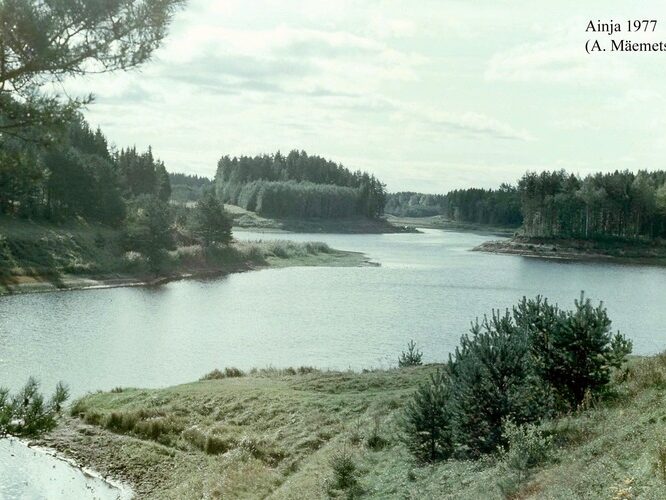 Maakond: Viljandimaa Veekogu nimi: Ainja paisjärv Pildistamise aeg: 1977 Pildistaja: A. Mäemets Pildistamise koht: teadmata Asimuut: