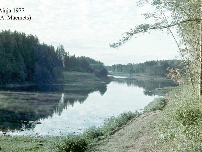 Maakond: Viljandimaa Veekogu nimi: Ainja paisjärv Pildistamise aeg: 1977 Pildistaja: A. Mäemets Pildistamise koht: teadmata Asimuut: