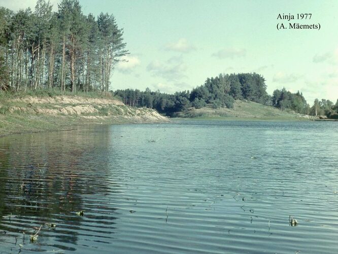 Maakond: Viljandimaa Veekogu nimi: Ainja paisjärv Pildistamise aeg: 1977 Pildistaja: A. Mäemets Pildistamise koht: teadmata Asimuut: