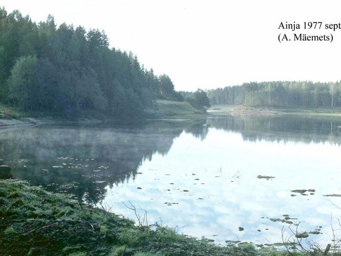 Maakond: Viljandimaa Veekogu nimi: Ainja paisjärv Pildistamise aeg: september 1977 Pildistaja: A. Mäemets Pildistamise koht: teadmata Asimuut: