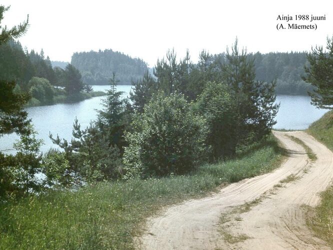 Maakond: Viljandimaa Veekogu nimi: Ainja paisjärv Pildistamise aeg: juuni 1988 Pildistaja: A. Mäemets Pildistamise koht: teadmata Asimuut: