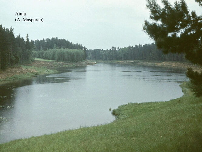 Maakond: Viljandimaa Veekogu nimi: Ainja paisjärv Pildistamise aeg: teadmata Pildistaja: A. Maspuran Pildistamise koht: teadmata Asimuut: