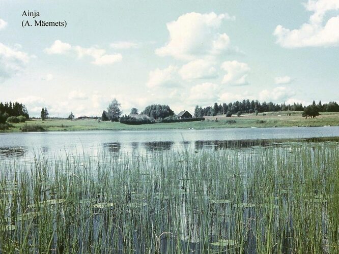 Maakond: Viljandimaa Veekogu nimi: Ainja paisjärv Pildistamise aeg: teadmata Pildistaja: A. Mäemets Pildistamise koht: teadmata Asimuut: