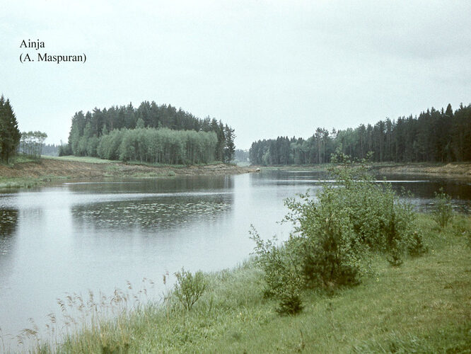 Maakond: Viljandimaa Veekogu nimi: Ainja paisjärv Pildistamise aeg: teadmata Pildistaja: A. Maspuran Pildistamise koht: teadmata Asimuut: