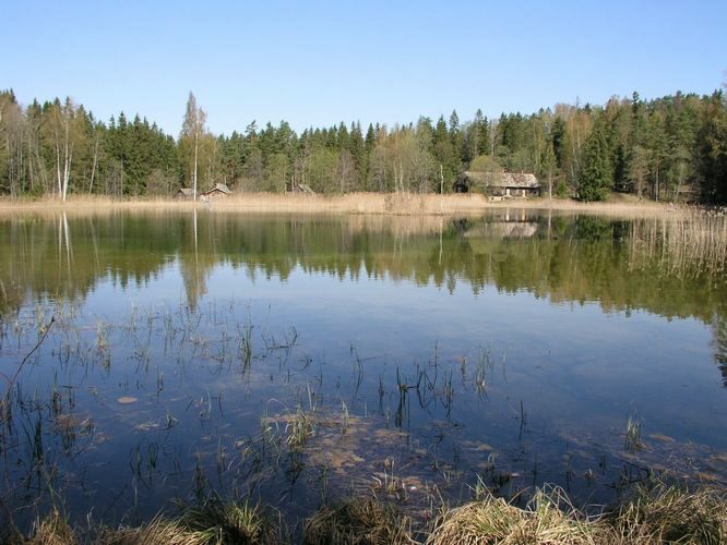 Maakond: Viljandimaa Veekogu nimi: Ainja Sinejärv Pildistamise aeg: 12. mai 2003 Pildistaja: H. Timm Pildistamise koht: teadmata Asimuut: