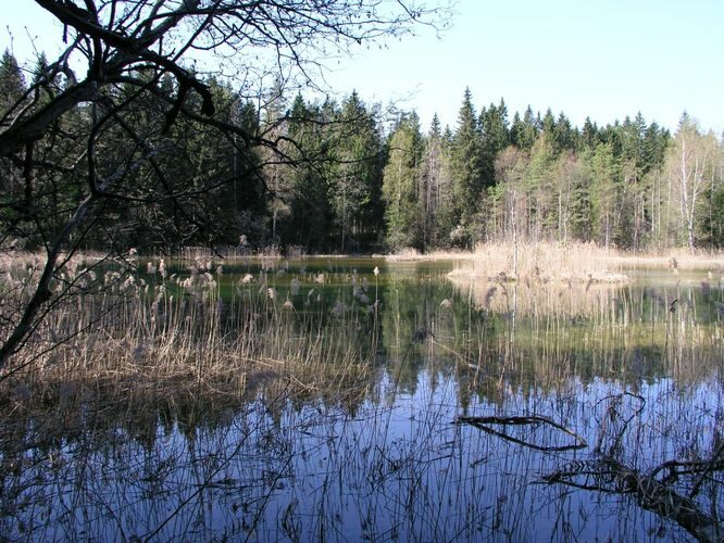 Maakond: Viljandimaa Veekogu nimi: Ainja Sinejärv Pildistamise aeg: 12. mai 2003 Pildistaja: H. Timm Pildistamise koht: teadmata Asimuut: