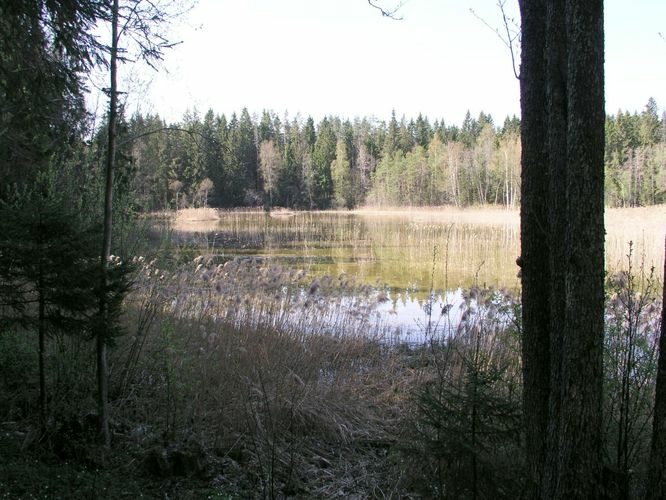 Maakond: Viljandimaa Veekogu nimi: Ainja Sinejärv Pildistamise aeg: 12. mai 2003 Pildistaja: H. Timm Pildistamise koht: teadmata Asimuut: