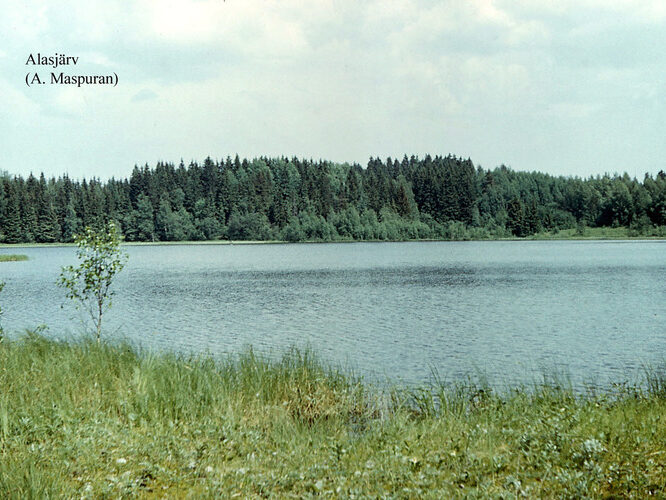 Maakond: Võrumaa Veekogu nimi: Alasjärv Pildistamise aeg: teadmata Pildistaja: A. Maspuran Pildistamise koht: teadmata Asimuut: