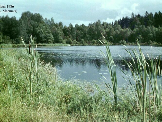 Maakond: Viljandimaa Veekogu nimi: Alatsi järv Pildistamise aeg: 1986 Pildistaja: A. Mäemets Pildistamise koht: teadmata Asimuut: