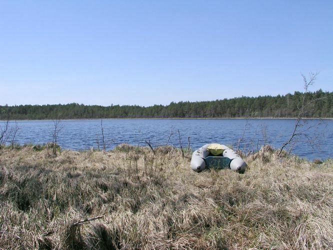 Maakond: Viljandimaa Veekogu nimi: Alatsi järv Pildistamise aeg: 12. mai 2003 Pildistaja: H. Timm Pildistamise koht: teadmata Asimuut: